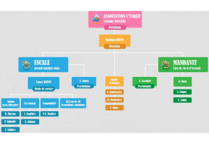 organigramme 2020